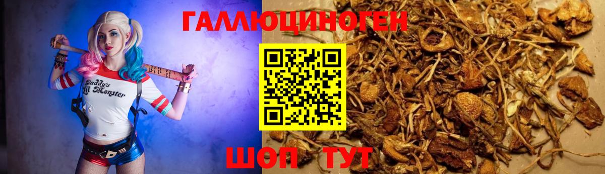 Минусинск  Галлюциногенные грибы MAGIC MUSHROOMS  Вход с VPN 